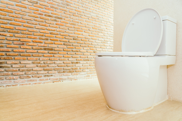 Standard toilet in minimalist setting with rough-in dimensions