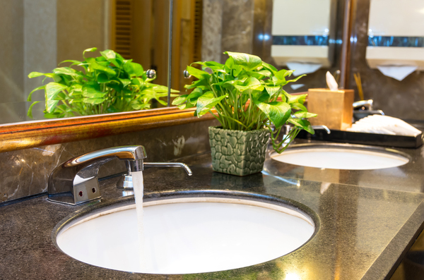 dark granite bathroom remodels 2022 with plant decor