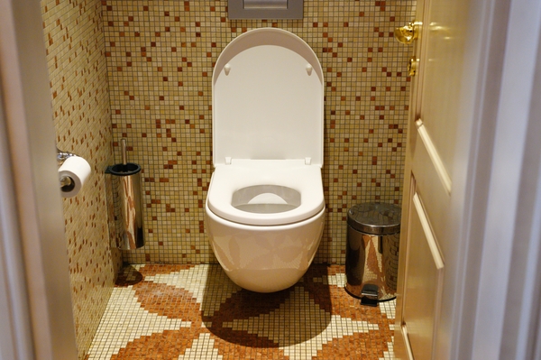 Kohler toilet with dual flush setup and tile design