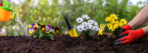 Hands planting colorful flowers in soil with tools beside, showing garden edging ideas and garden irrigation system
