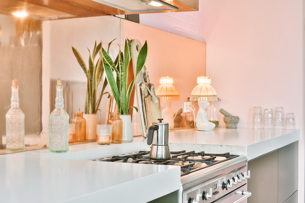High end kitchen design 2023 with organized layout and countertop plants
