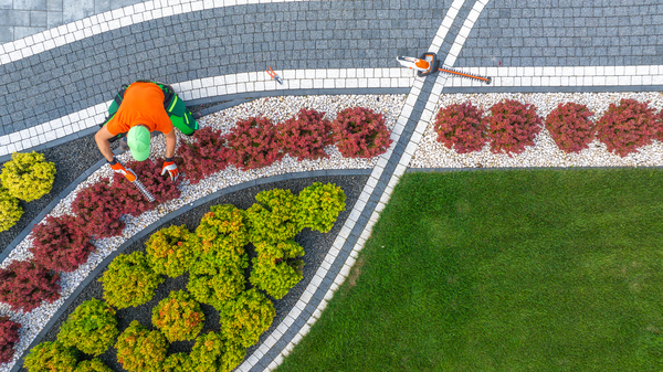 Landscape worker trimming bushes along a curved landscape edging and flower bed in a manicured garden